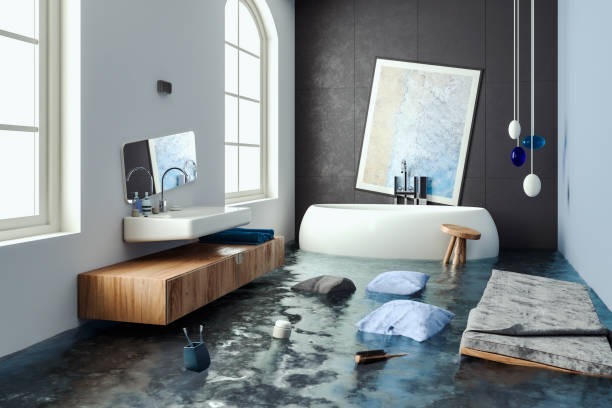 Best Water damage contractors near me  in Ballwin, MO