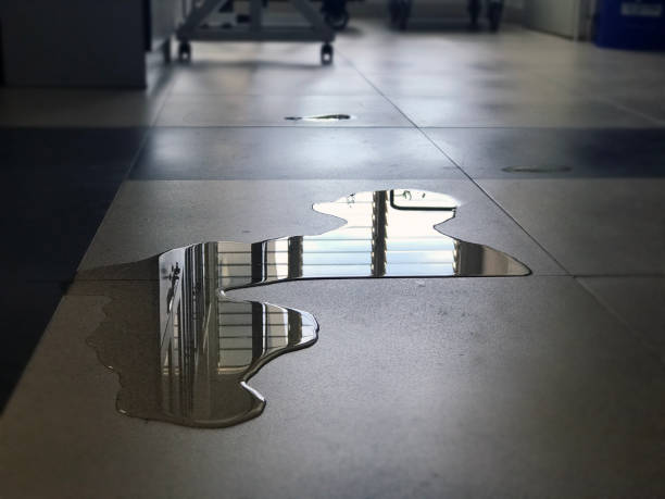 Best Water damage restoration near me  in Ballwin, MO