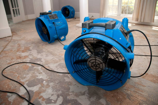 Best Water damage cleanup near me  in Ballwin, MO