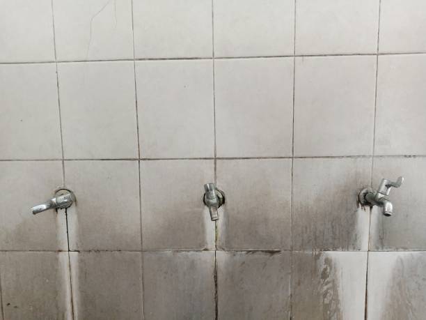 Best 24/7 water damage repair  in Ballwin, MO