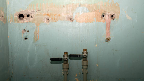 Best Sewage cleanup and water damage restoration  in Ballwin, MO
